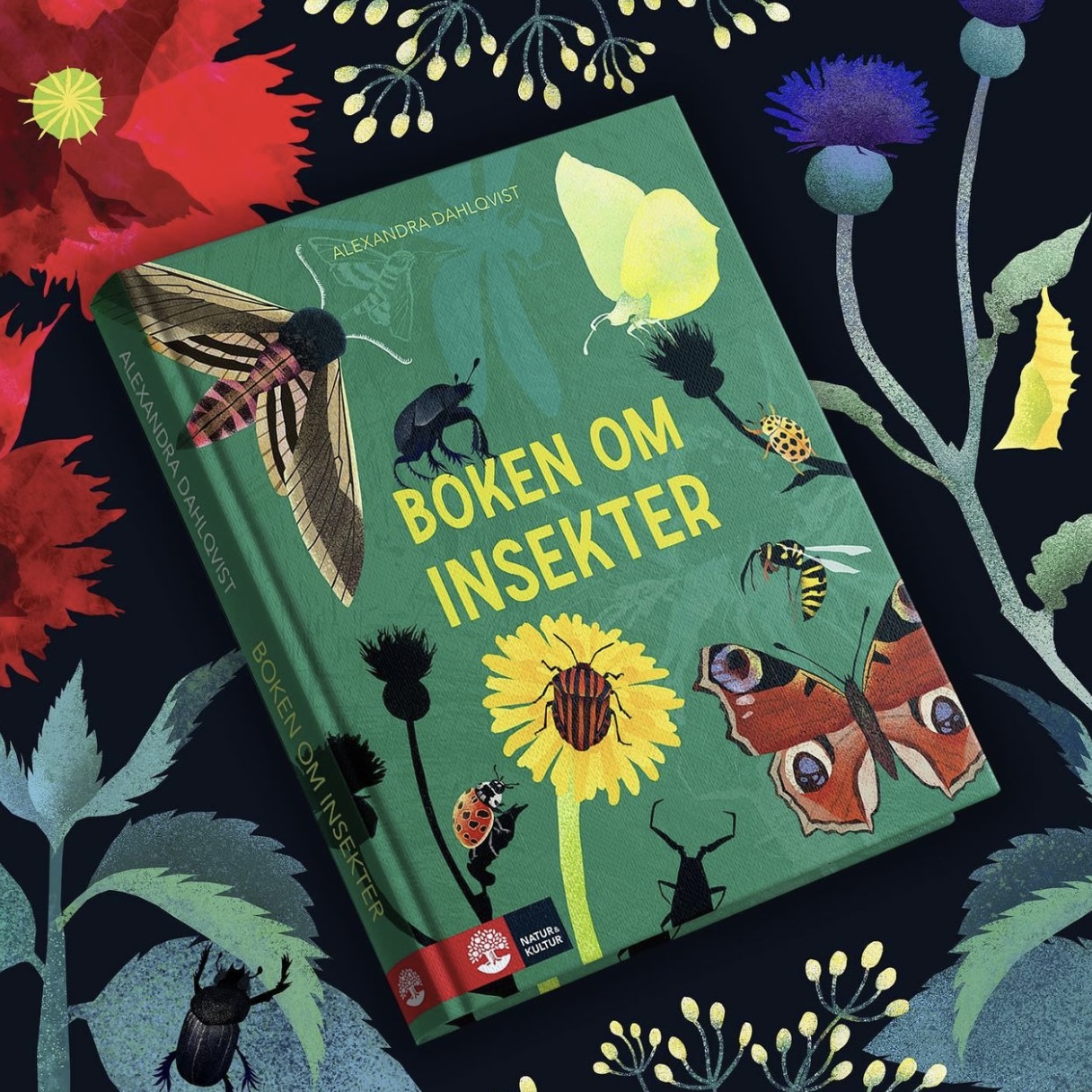 Boken om insekter